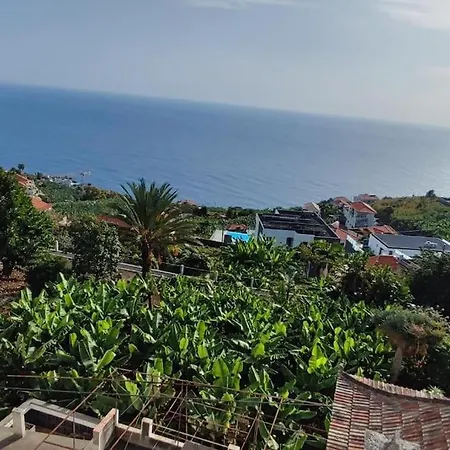 Sunny Rooftop & Perfect View Apartment Arco da Calheta (Madeira)