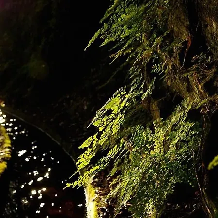 Sunny Rooftop & Perfect View Arco da Calheta (Madeira)