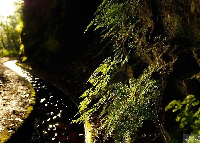 Sunny Rooftop & Perfect View Arco da Calheta (Madeira)